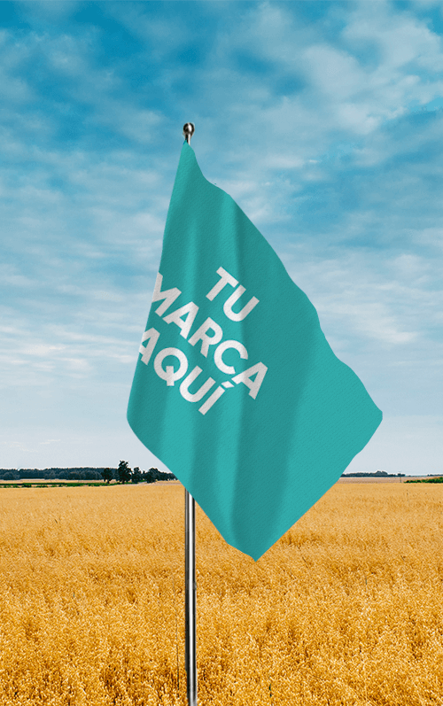 bandera3