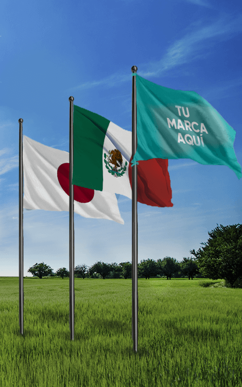 bandera4