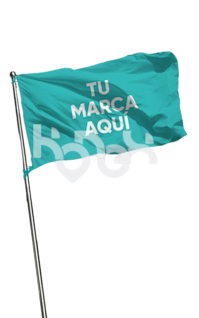 impresion de banderas en leon